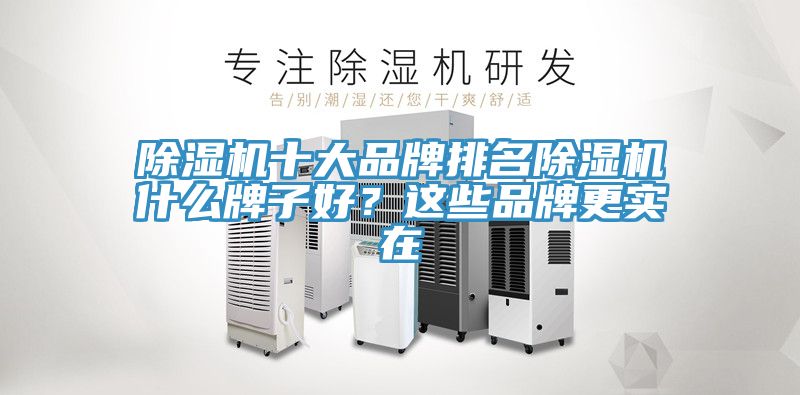 除濕機(jī)十大品牌排名除濕機(jī)什么牌子好？這些品牌更實(shí)在