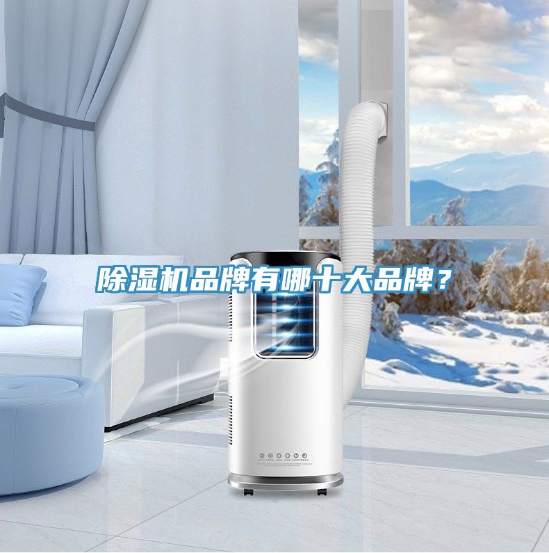 除濕機(jī)品牌有哪十大品牌？