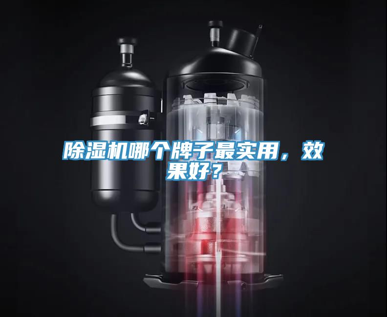 除濕機(jī)哪個(gè)牌子最實(shí)用，效果好？
