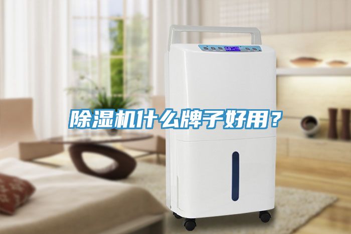除濕機(jī)什么牌子好用？