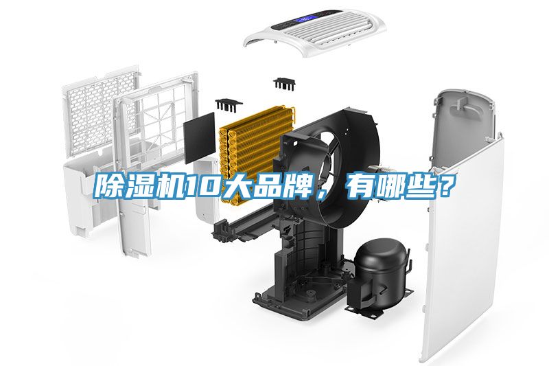 除濕機(jī)10大品牌，有哪些？