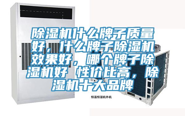 除濕機(jī)什么牌子質(zhì)量好，什么牌子除濕機(jī)效果好，哪個(gè)牌子除濕機(jī)好 性價(jià)比高，除濕機(jī)十大品牌