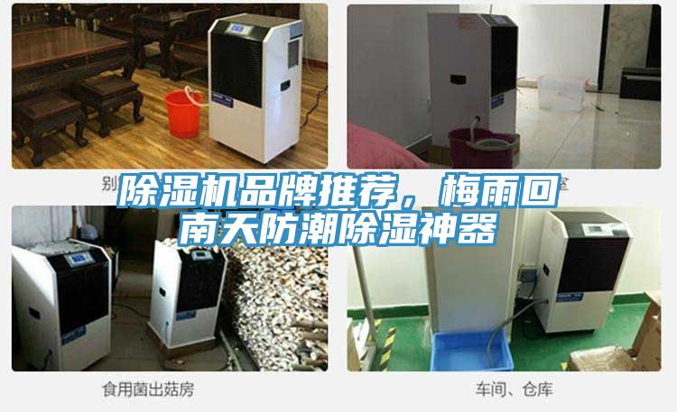 除濕機品牌推薦，梅雨回南天防潮除濕神器