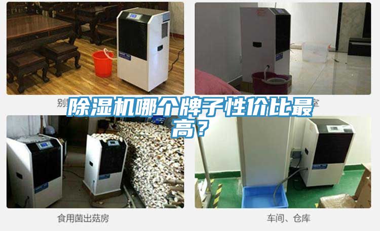 除濕機(jī)哪個(gè)牌子性價(jià)比最高？