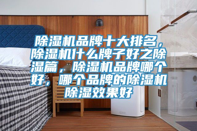 除濕機(jī)品牌十大排名，除濕機(jī)什么牌子好之除濕篇，除濕機(jī)品牌哪個(gè)好，哪個(gè)品牌的除濕機(jī)除濕效果好
