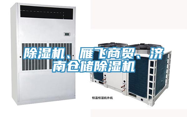 除濕機、雁飛商貿(mào)、濟南倉儲除濕機