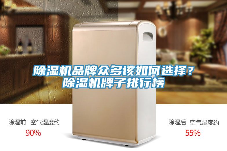 除濕機(jī)品牌眾多該如何選擇？除濕機(jī)牌子排行榜