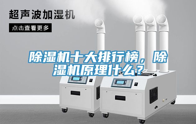 除濕機(jī)十大排行榜，除濕機(jī)原理什么？