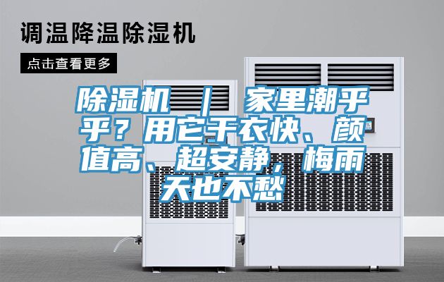 除濕機(jī) ｜ 家里潮乎乎？用它干衣快、顏值高、超安靜，梅雨天也不愁