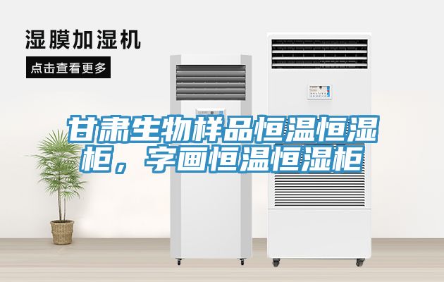 甘肅生物樣品恒溫恒濕柜，字畫恒溫恒濕柜