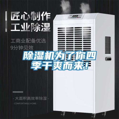 除濕機(jī)為了你四季干爽而來！