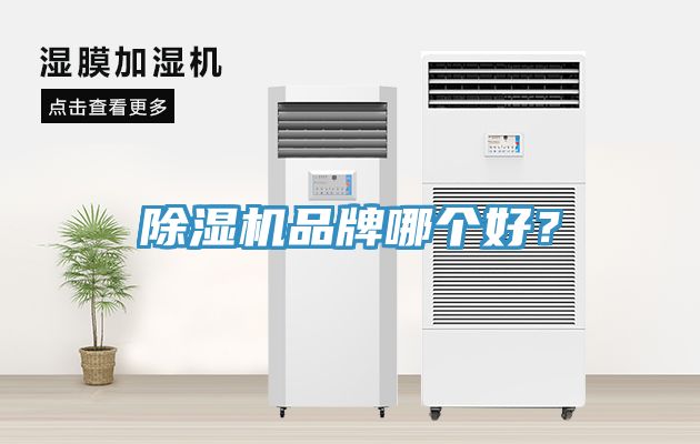 除濕機品牌哪個好？