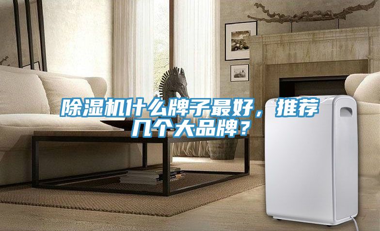 除濕機什么牌子最好，推薦幾個大品牌？