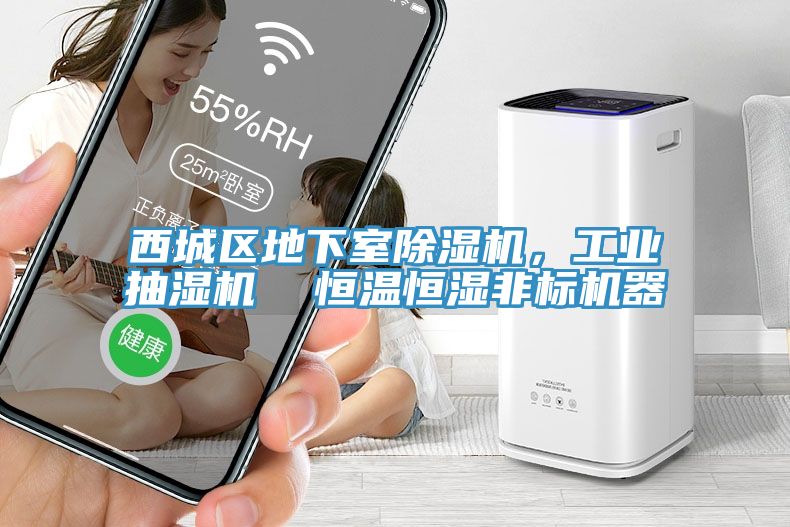 西城區(qū)地下室除濕機，工業(yè)抽濕機  恒溫恒濕非標機器