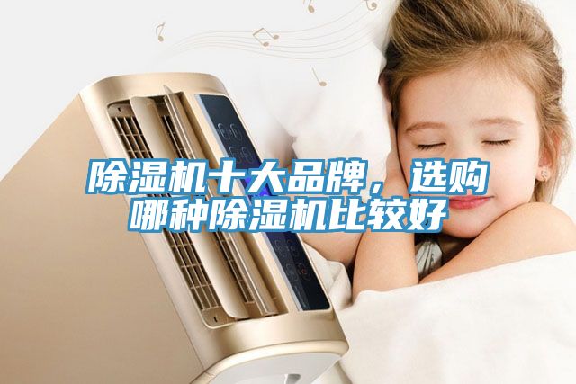 除濕機(jī)十大品牌，選購(gòu)哪種除濕機(jī)比較好