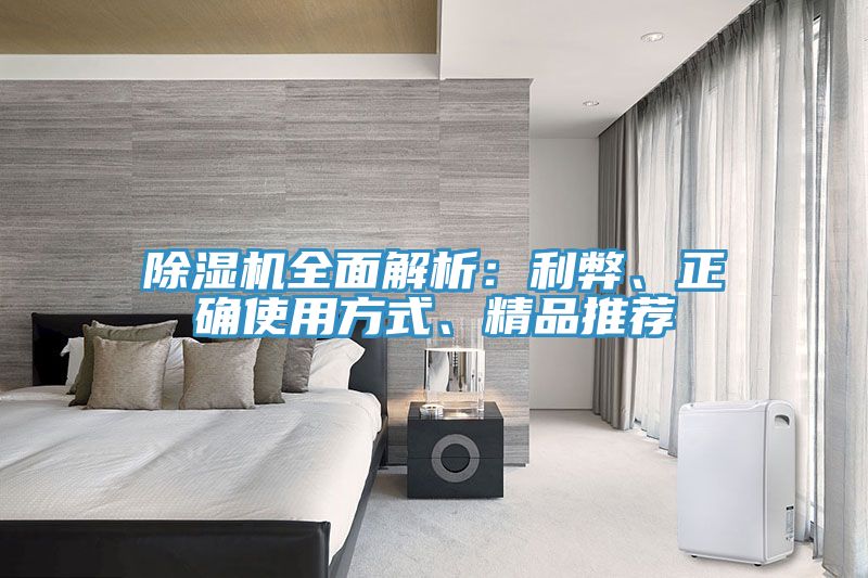 除濕機(jī)全面解析：利弊、正確使用方式、精品推薦