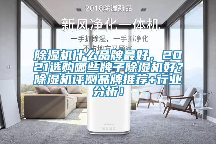 除濕機(jī)什么品牌最好，2021選購哪些牌子除濕機(jī)好？除濕機(jī)評測品牌推薦+行業(yè)分析！
