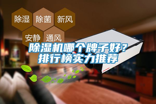 除濕機(jī)哪個(gè)牌子好？排行榜實(shí)力推薦
