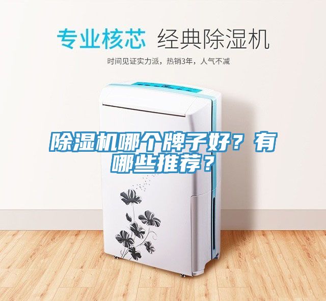 除濕機(jī)哪個(gè)牌子好？有哪些推薦？