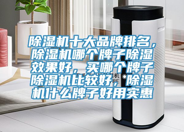 除濕機(jī)十大品牌排名，除濕機(jī)哪個(gè)牌子除濕效果好，買哪個(gè)牌子除濕機(jī)比較好，除濕機(jī)什么牌子好用實(shí)惠