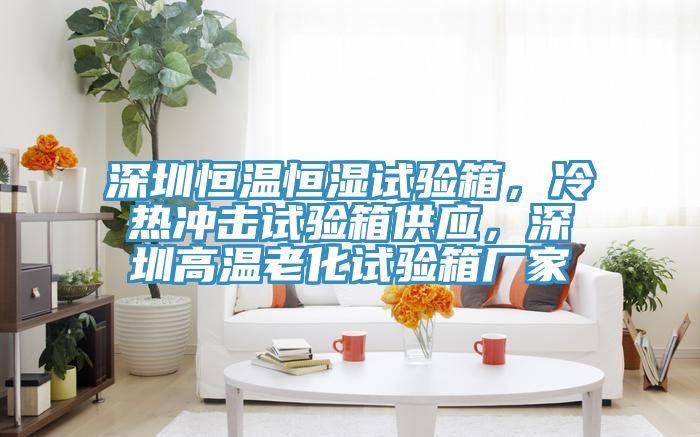 深圳恒溫恒濕試驗箱，冷熱沖擊試驗箱供應，深圳高溫老化試驗箱廠家