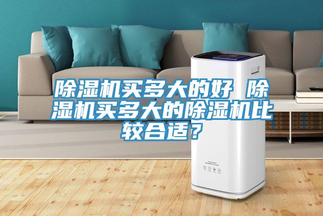 除濕機買多大的好 除濕機買多大的除濕機比較合適？