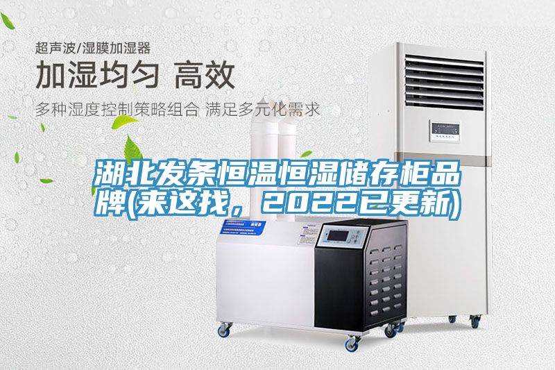 湖北發(fā)條恒溫恒濕儲(chǔ)存柜品牌(來(lái)這找，2022已更新)