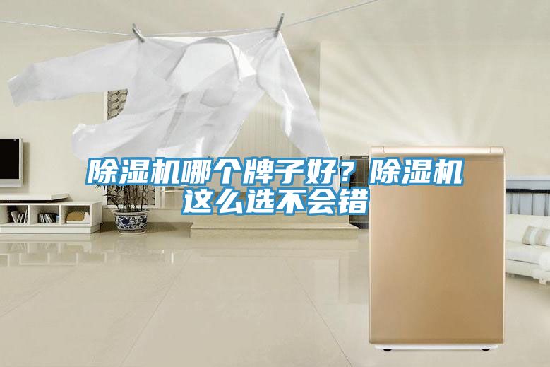 除濕機(jī)哪個(gè)牌子好？除濕機(jī)這么選不會(huì)錯(cuò)