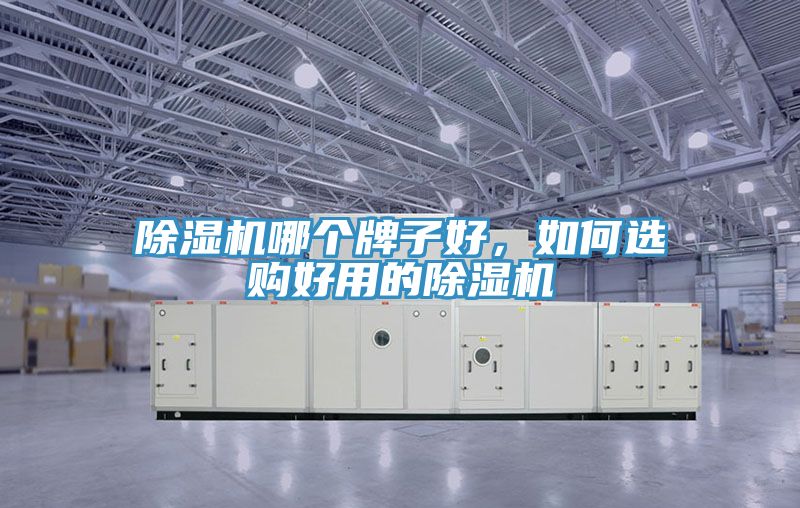 除濕機(jī)哪個牌子好，如何選購好用的除濕機(jī)