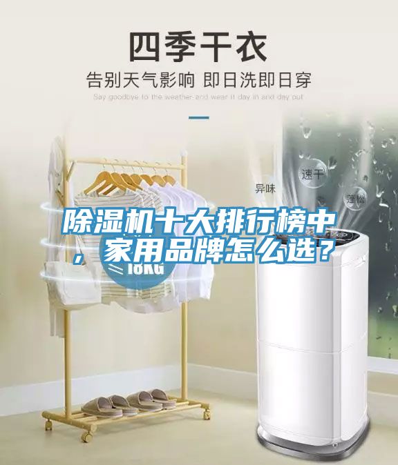 除濕機(jī)十大排行榜中，家用品牌怎么選？