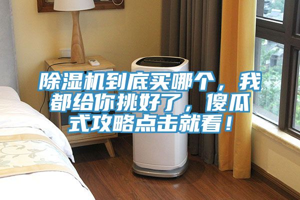 除濕機(jī)到底買哪個(gè)，我都給你挑好了，傻瓜式攻略點(diǎn)擊就看！