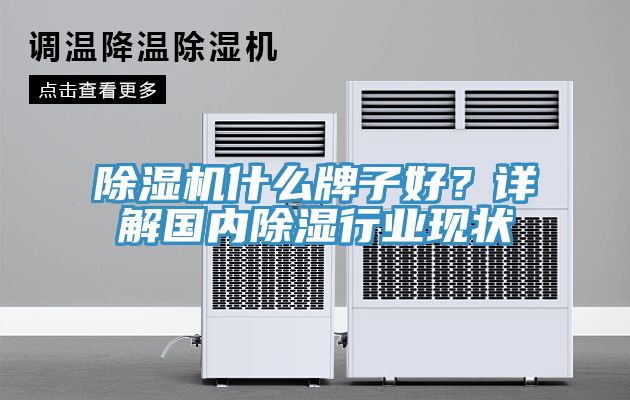 除濕機(jī)什么牌子好？詳解國(guó)內(nèi)除濕行業(yè)現(xiàn)狀