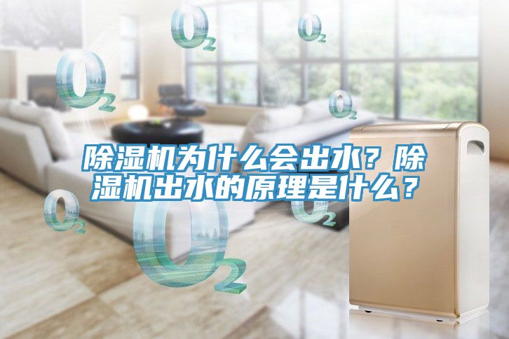 除濕機為什么會出水？除濕機出水的原理是什么？