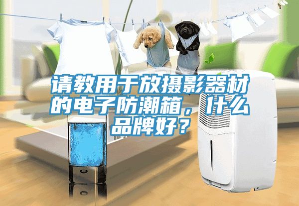 請教用于放攝影器材的電子防潮箱，什么品牌好？