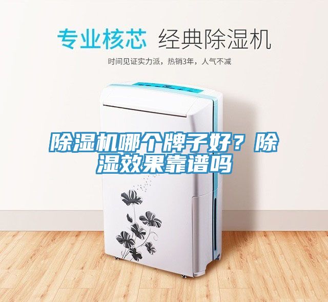 除濕機(jī)哪個(gè)牌子好？除濕效果靠譜嗎