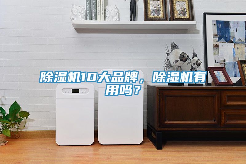 除濕機(jī)10大品牌，除濕機(jī)有用嗎？