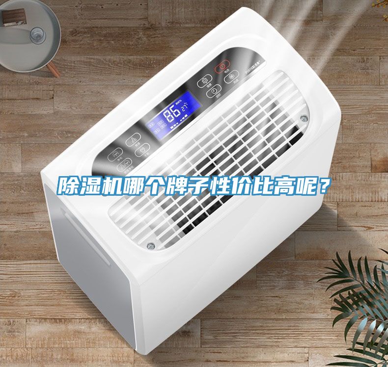 除濕機(jī)哪個(gè)牌子性價(jià)比高呢？
