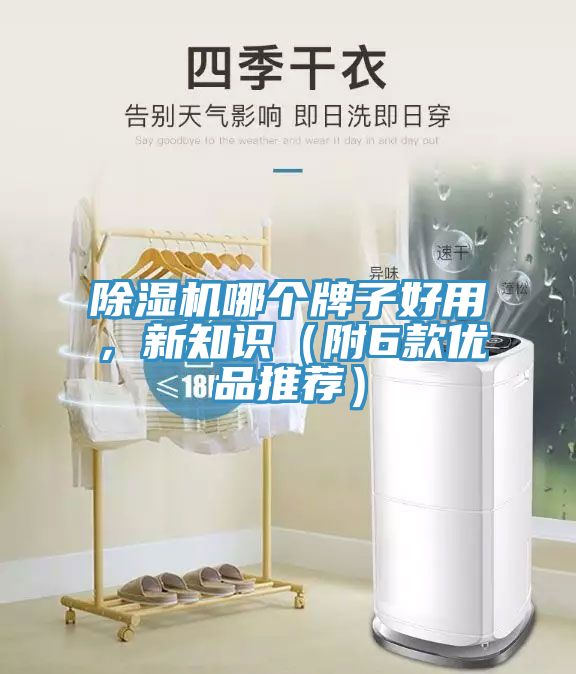 除濕機(jī)哪個牌子好用，新知識（附6款優(yōu)品推薦）