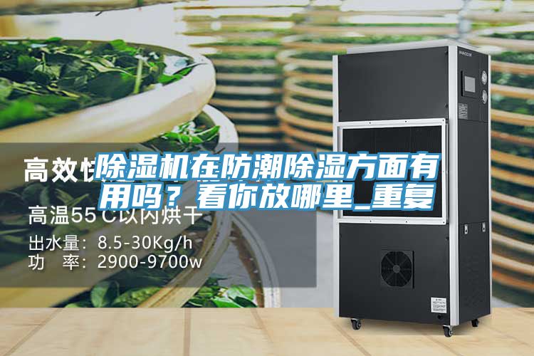 除濕機在防潮除濕方面有用嗎？看你放哪里_重復(fù)