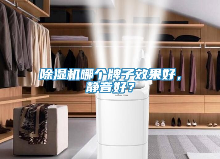 除濕機(jī)哪個(gè)牌子效果好，靜音好？