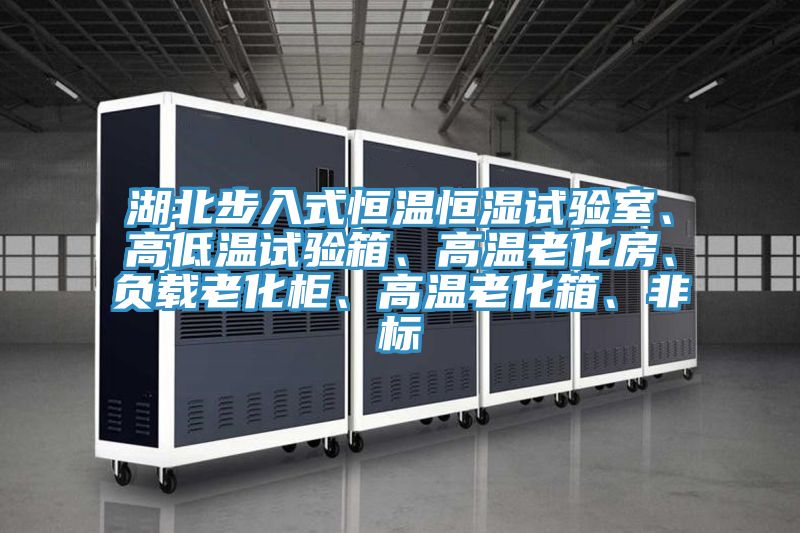 湖北步入式恒溫恒濕試驗室、高低溫試驗箱、高溫老化房、負(fù)載老化柜、高溫老化箱、非標(biāo)