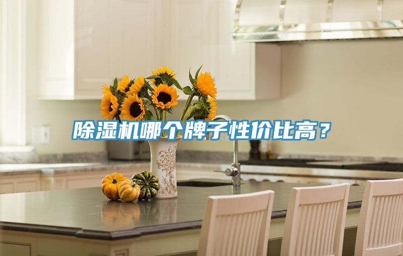 除濕機(jī)哪個(gè)牌子性價(jià)比高？