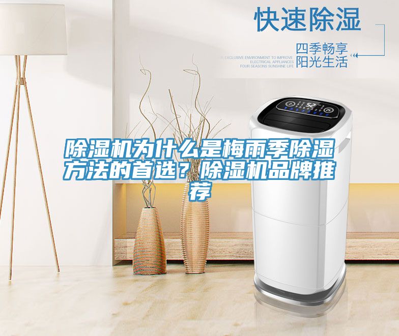 除濕機為什么是梅雨季除濕方法的首選？除濕機品牌推薦