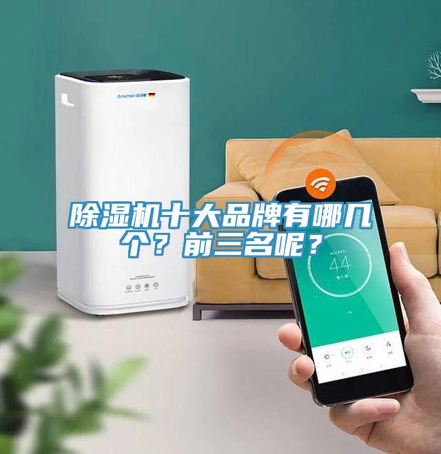 除濕機(jī)十大品牌有哪幾個(gè)？前三名呢？