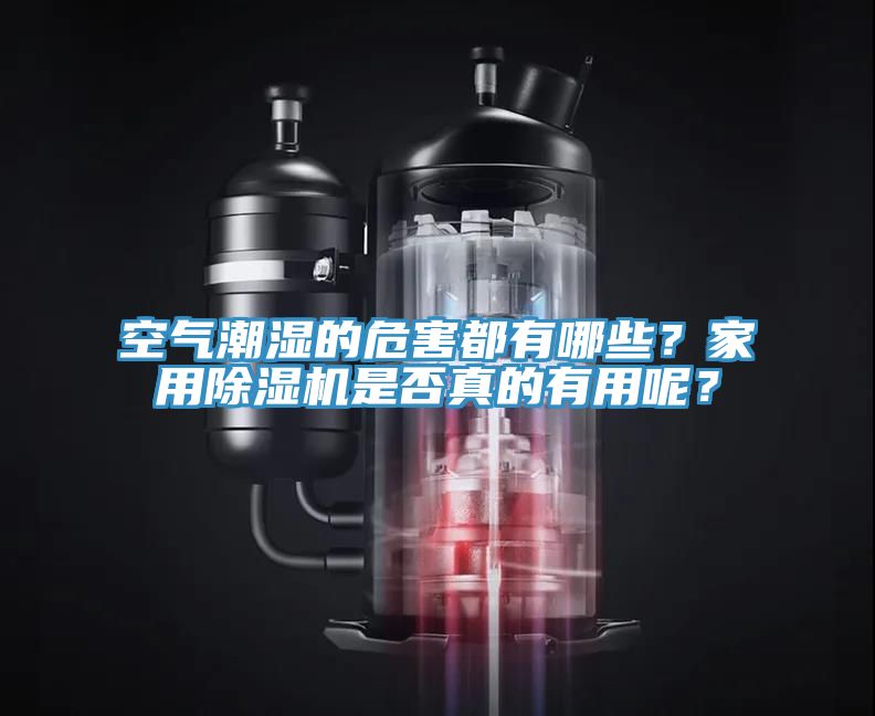 空氣潮濕的危害都有哪些？家用除濕機(jī)是否真的有用呢？