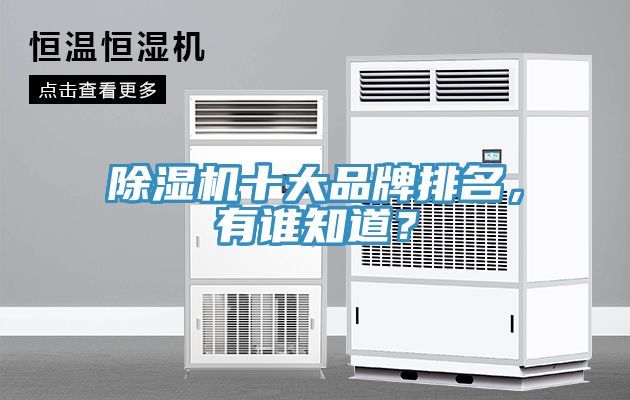 除濕機(jī)十大品牌排名，有誰知道？