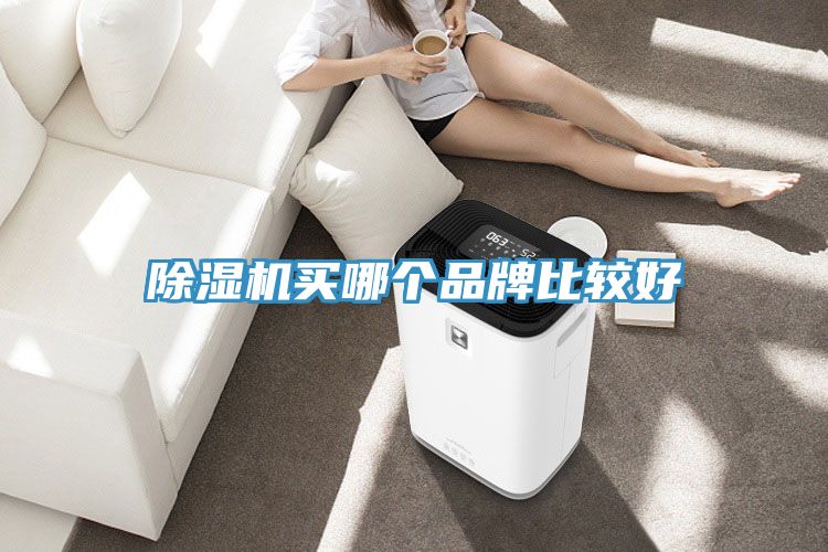 除濕機(jī)買(mǎi)哪個(gè)品牌比較好