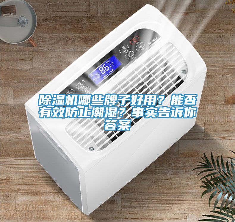 除濕機(jī)哪些牌子好用？能否有效防止潮濕？事實(shí)告訴你答案