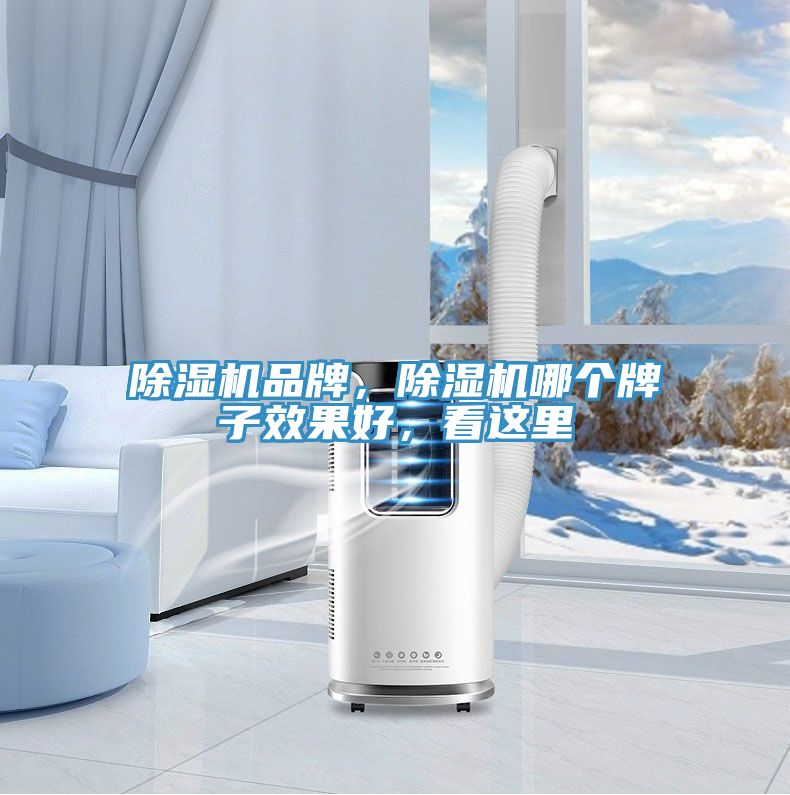除濕機(jī)品牌，除濕機(jī)哪個(gè)牌子效果好，看這里