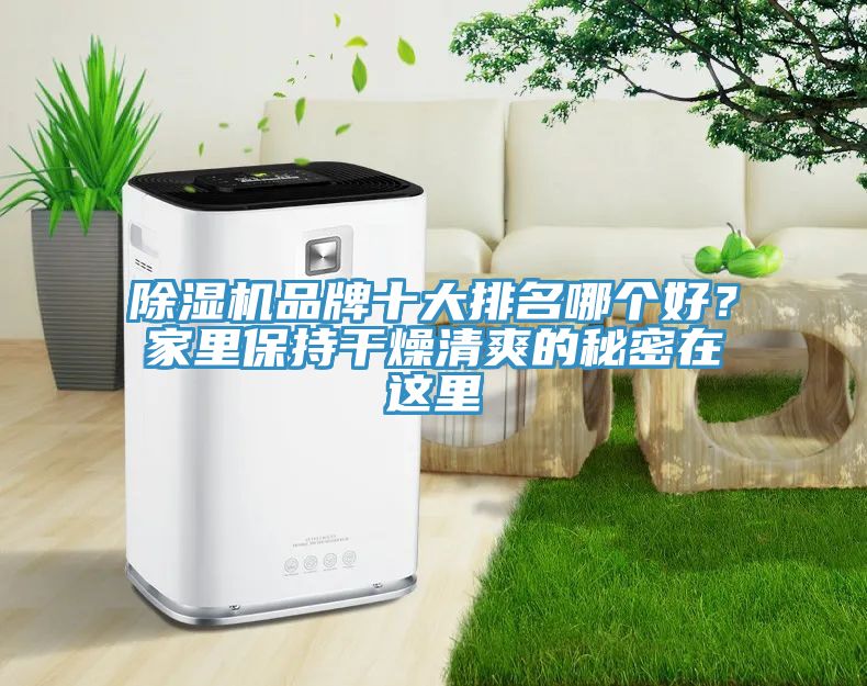 除濕機(jī)品牌十大排名哪個(gè)好？家里保持干燥清爽的秘密在這里